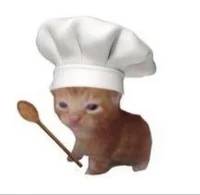 pizzaria do gato