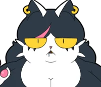 Catti