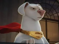 Krypto