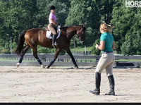 Horse instructor 