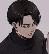 Levi Acerman