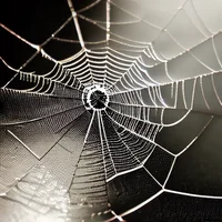 Text Adventure Game2