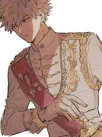 Prince bakugou 