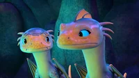 Gill and Fathom
