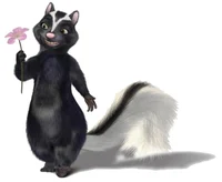 Stella the skunk
