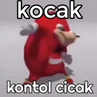 Kocak