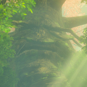 The great deku tree