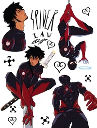 Spider Law
