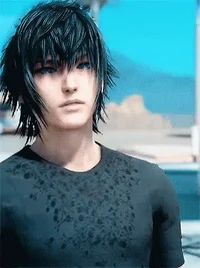 Noctis Lucis Caelum