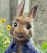 Peter Rabbit