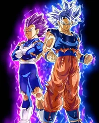 Goku And Vegeta 