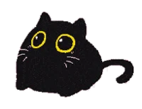 Your local cat