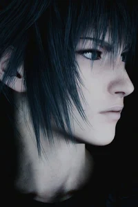 Noctis Lucis Caelum