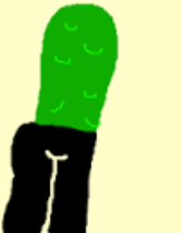Pickle bottom