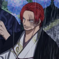 Shanks