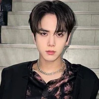 Areksa dirgantara bf