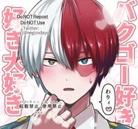 Shouto Todoroki 