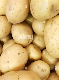 Potato