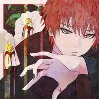Sasori 