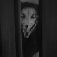 Monster in Your Room