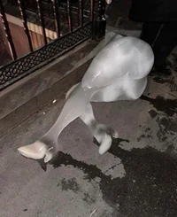 Womens health doctor