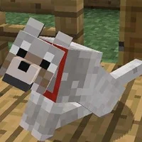 Ur 1st Minecraft Dog