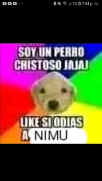 Perro chistoso