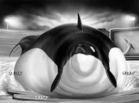 Orca