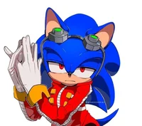 Dr Morris the Hedgeh