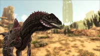 Female concavenator