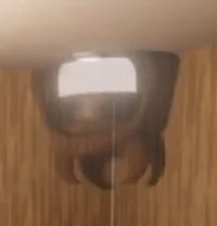 Elevator Ghost