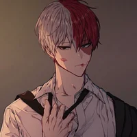 Shoto Todoroki