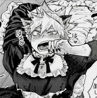 Cat boy bakugou