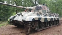 Tiger 2