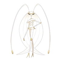 Pheromosa