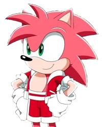 Male Amy Rose