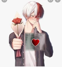 Shoto todoroki 