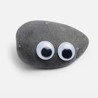 Pet Rock