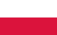 I love Poland guy