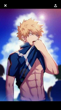 Hero bakugou