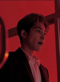 Mafia Wonwoo