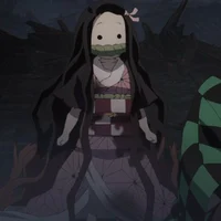 Lil Nezuko