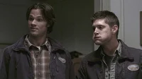 Winchesters