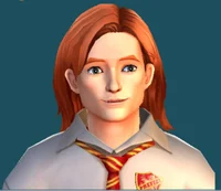 Gui Weasley 