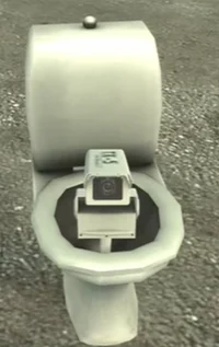 CCTV Toilet