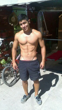 Chacal de la colonia