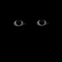 The Eyes in The Dark