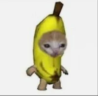 Banana cat
