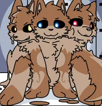 Cerberus