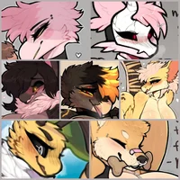 The Collection